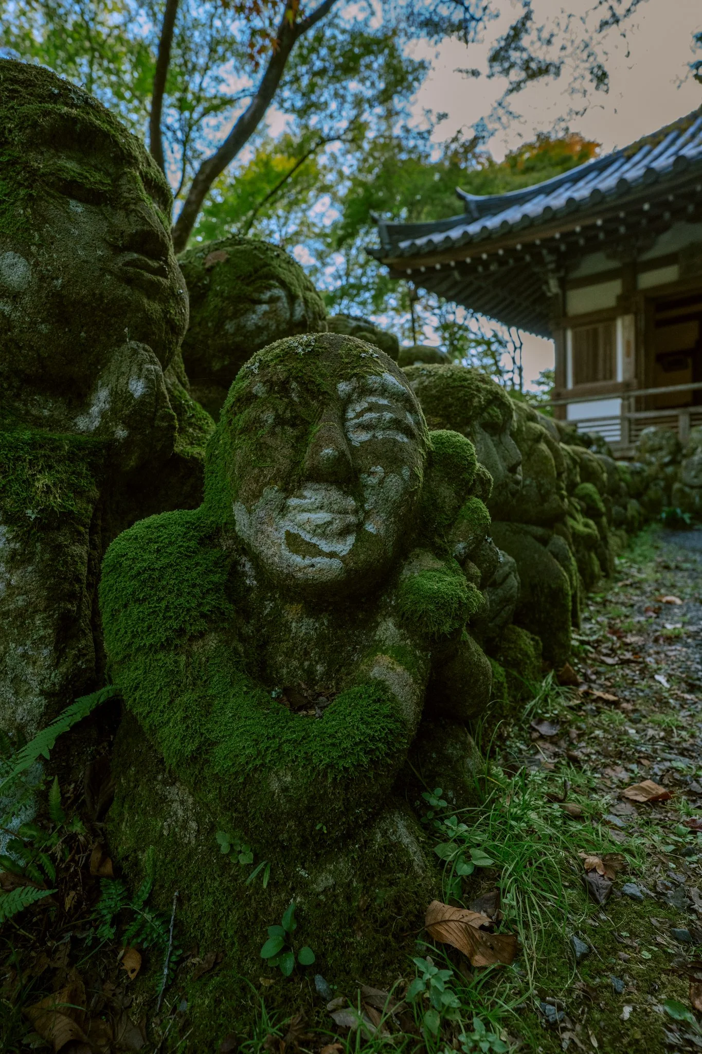 Kyoto Day Trip - Arashiyama: Magic, Mystery and Masses of People 