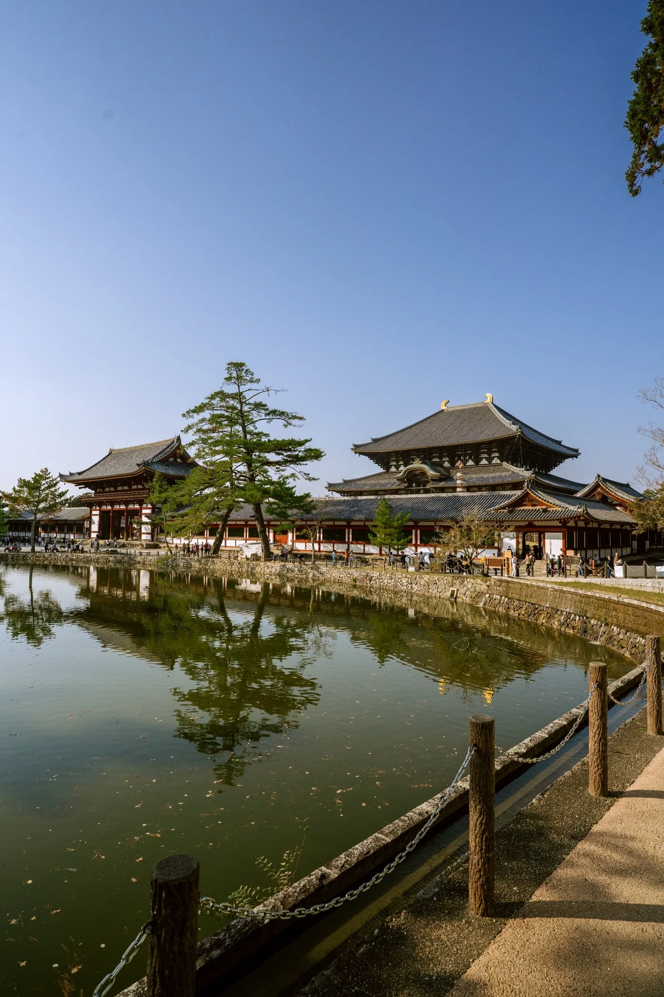 Kyoto Day Trip - Nara: A day of being a typical "gaijin" 