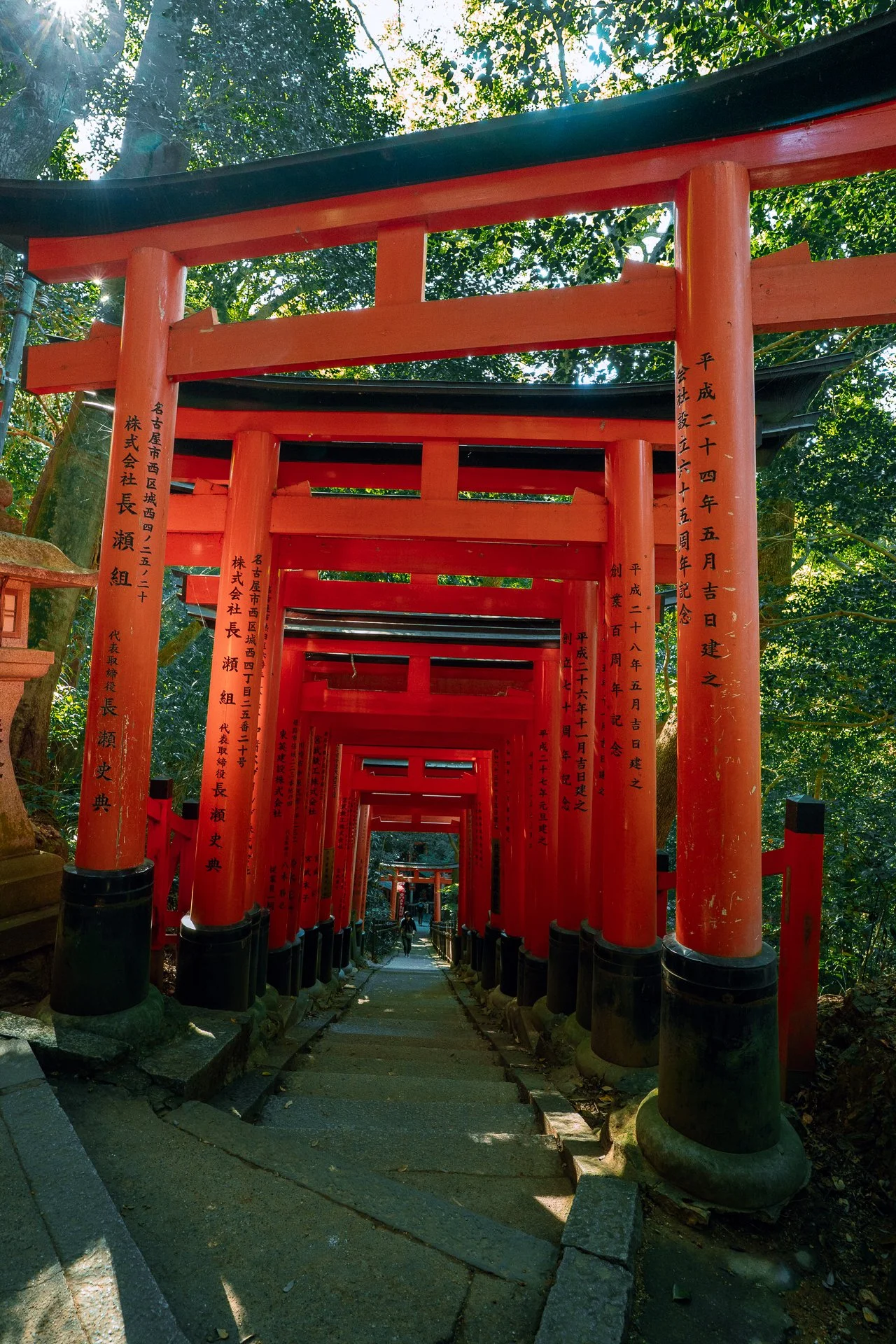 Kyoto Main Character Energy - Fushimi Inari and Kiyomizu-dera 