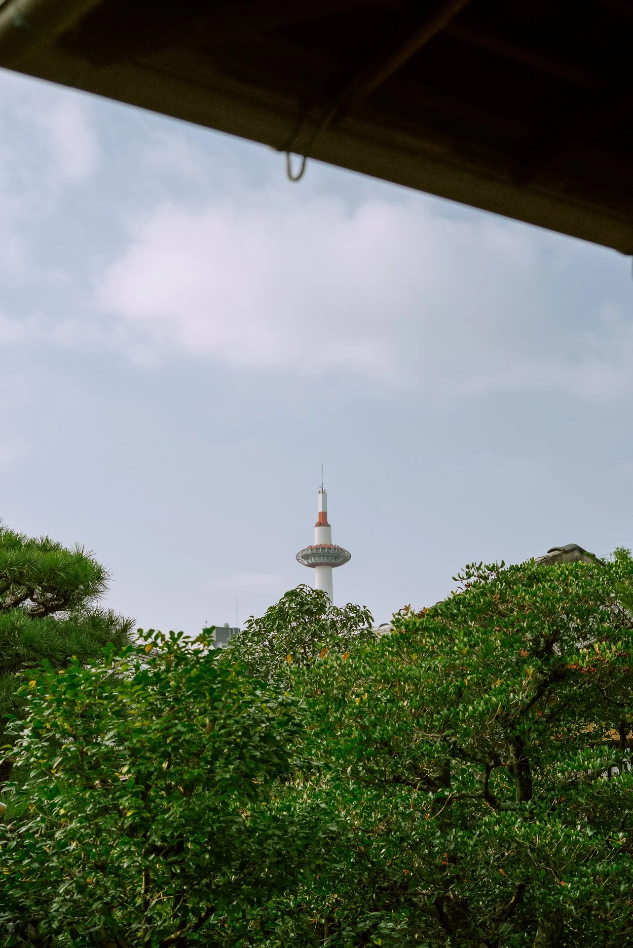 Mata Ne, Kyoto.  