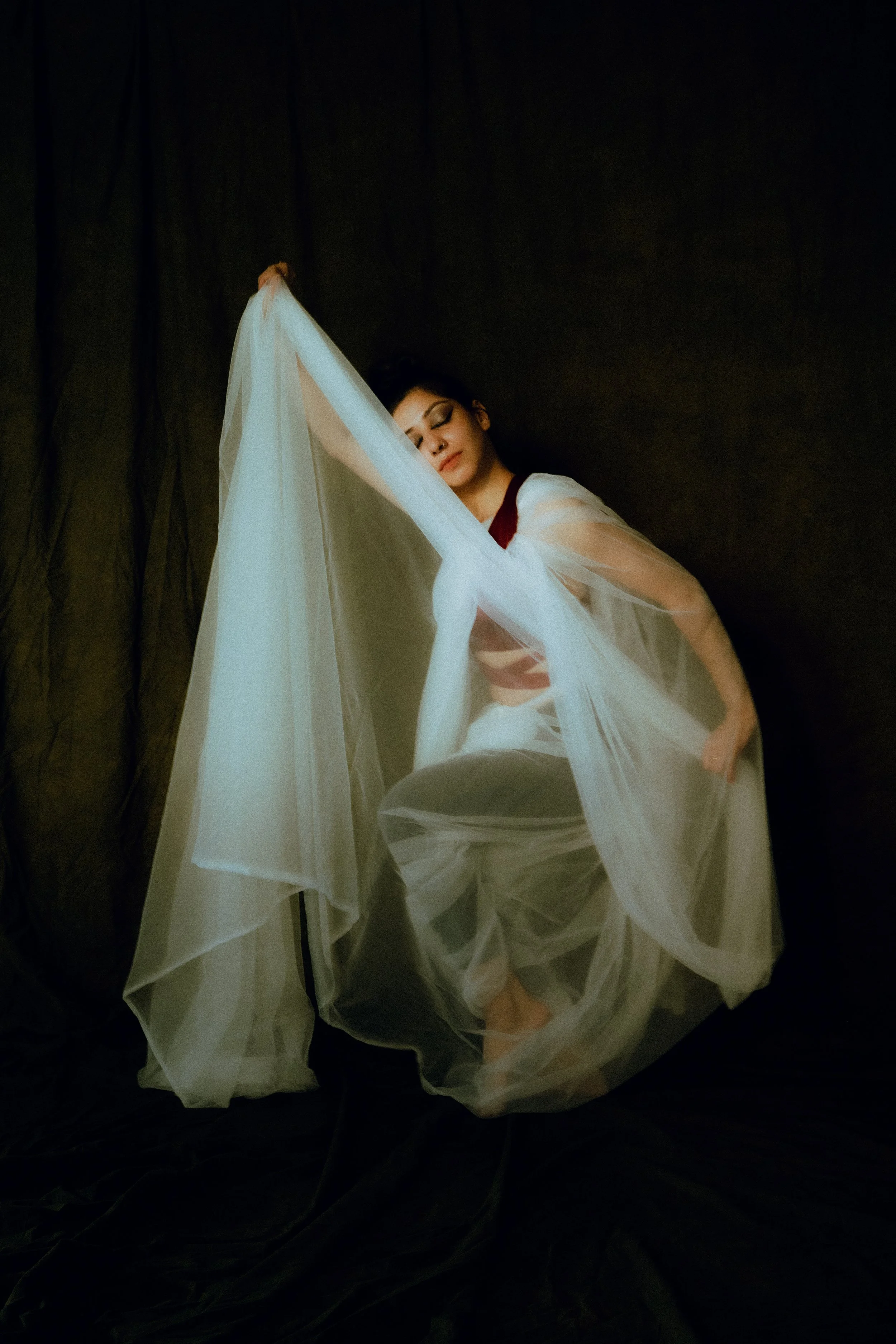 Chrysalis featuring Akshiti Roychowdhury