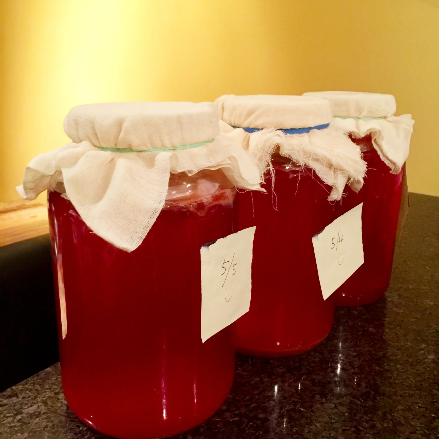 松田干城オフィシャルサイト