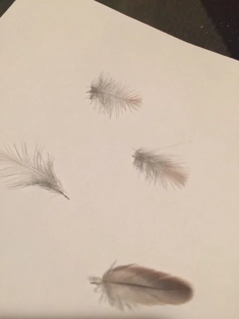 rio-feathers.jpg
