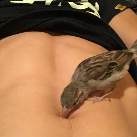 rion-on-abs.jpg