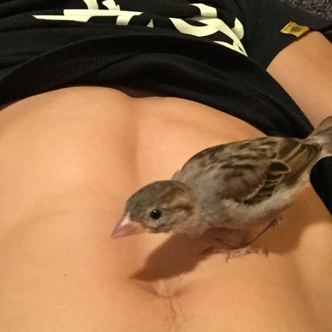 rio-on-abs2.jpg
