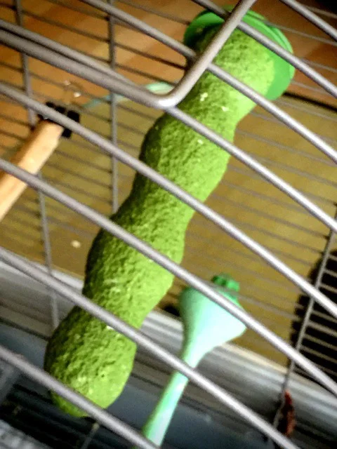 nail-trimmer.jpg