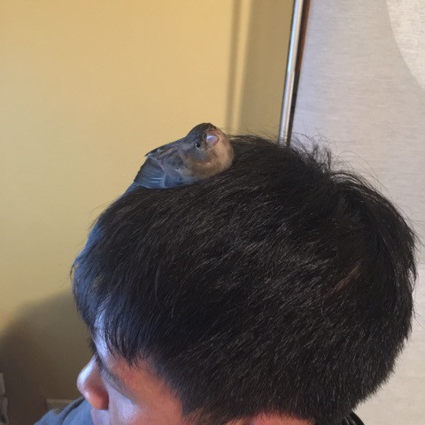 chillout-on-my-head.jpg