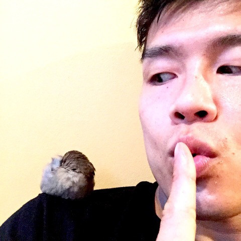 sparrow-sleeping-on-shoulder.jpg