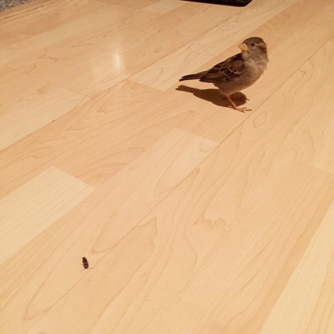 cannot-kill-worm.jpg