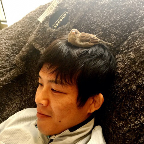 sparrow-on-my-head.jpg