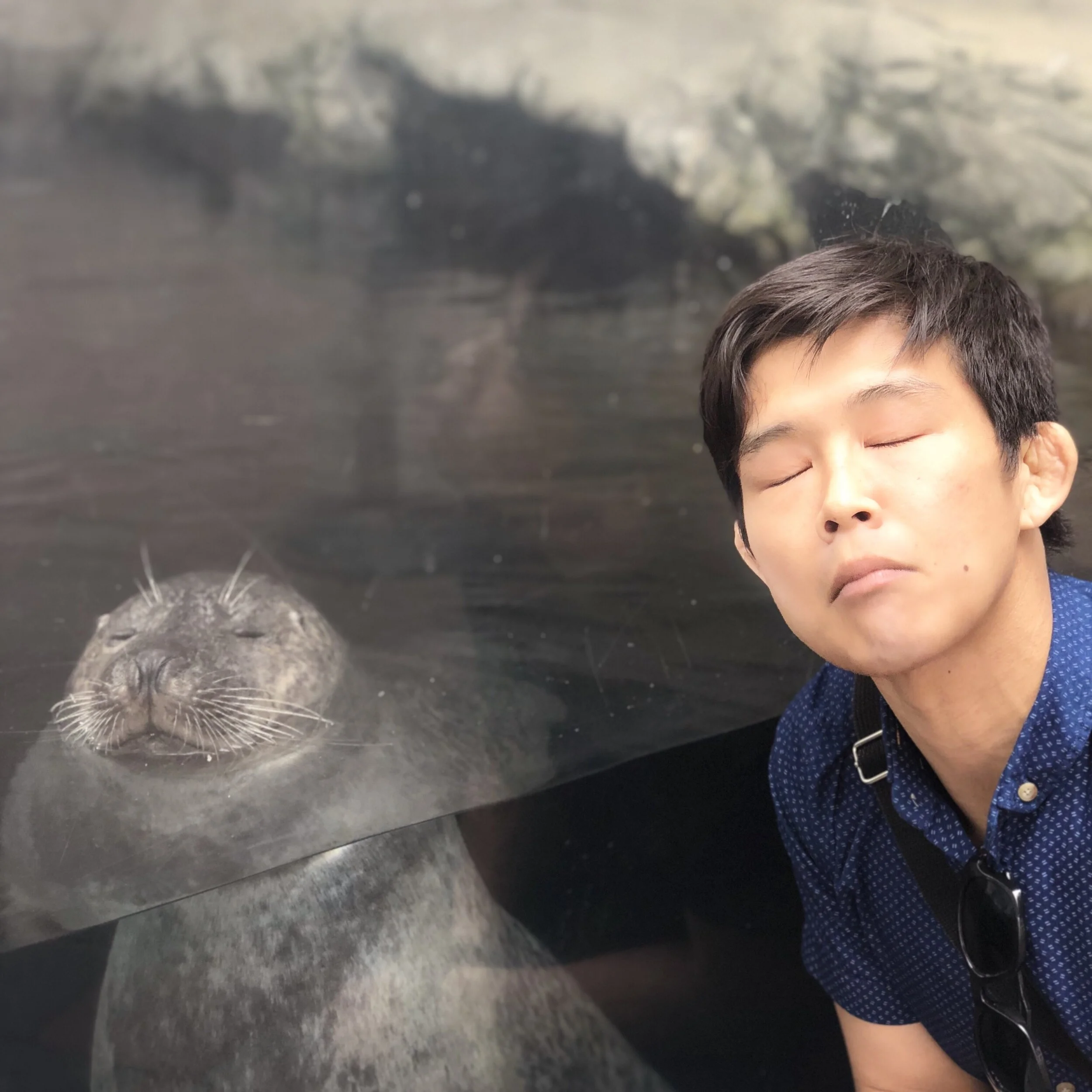 弟ボストンくる