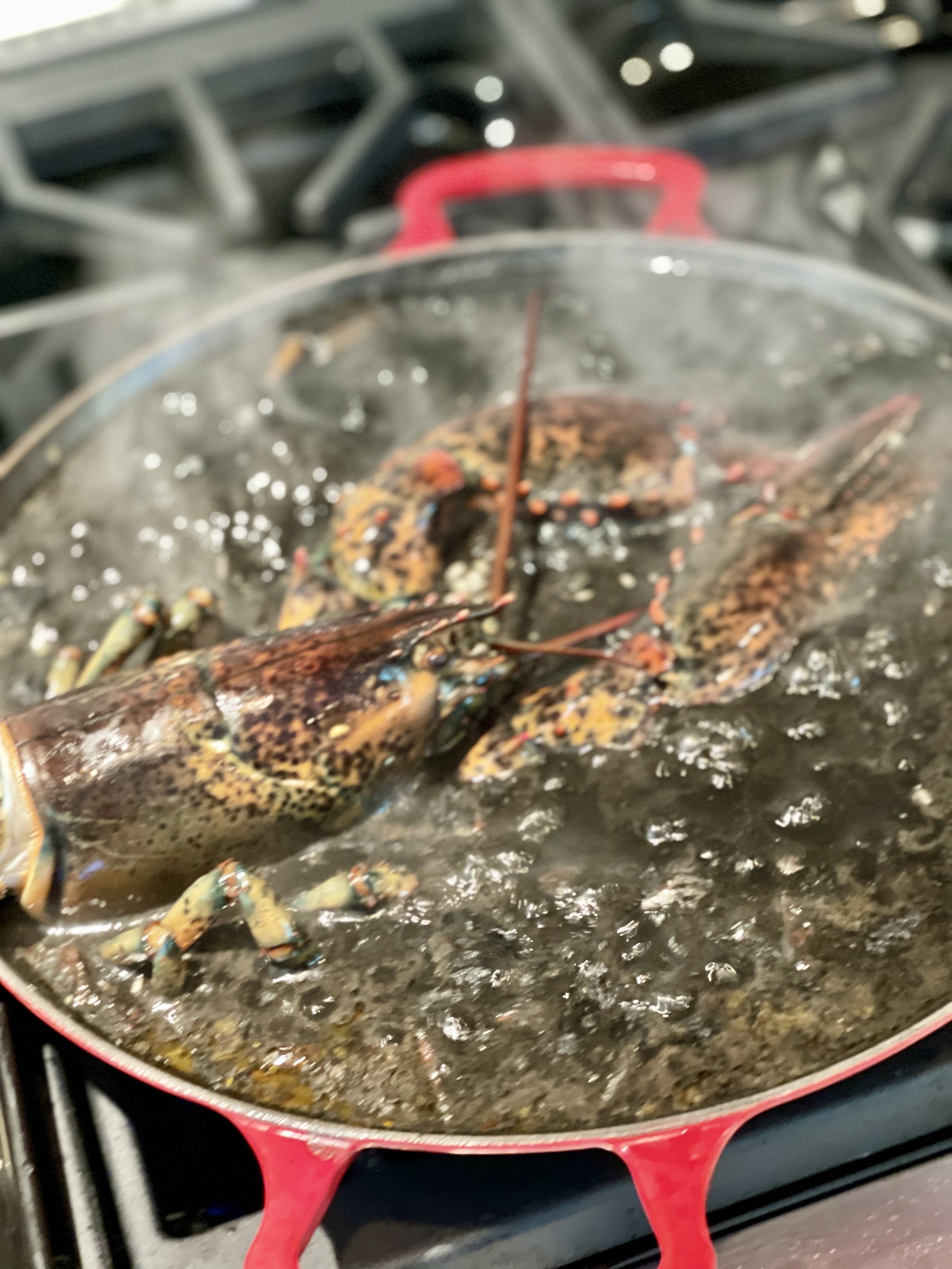 Cooking Lobster in Umami bomb