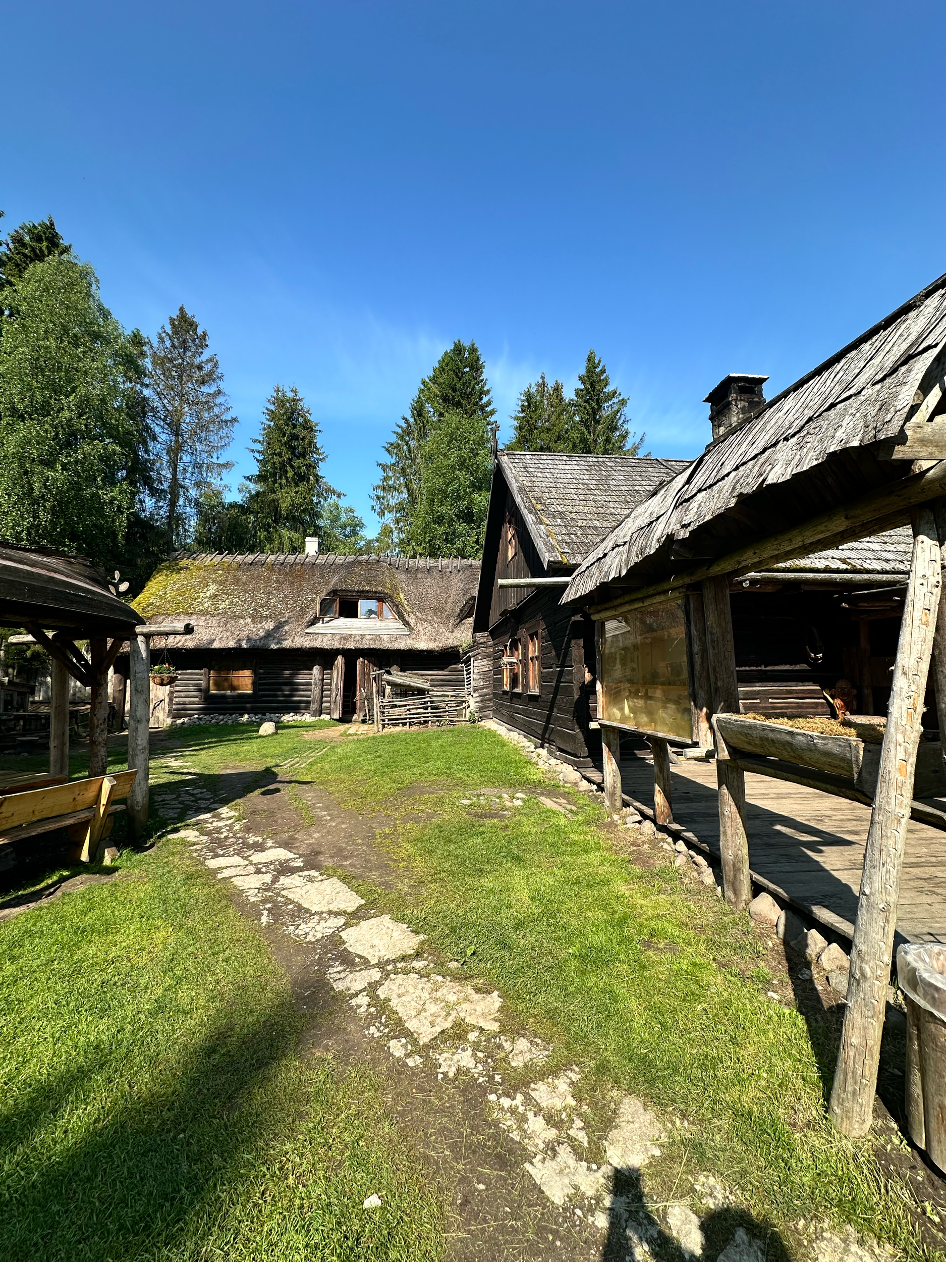 IMG_7902.png