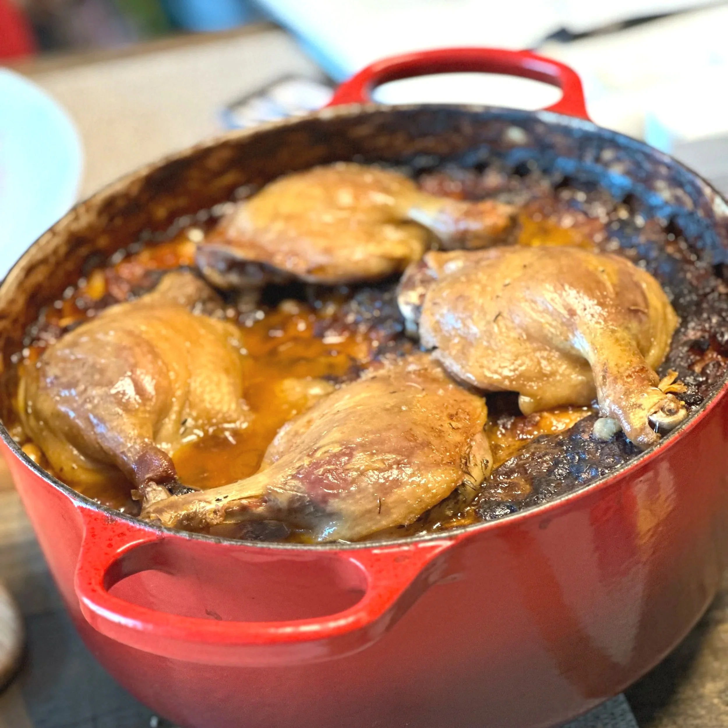 フレンチ・カスレ 2023