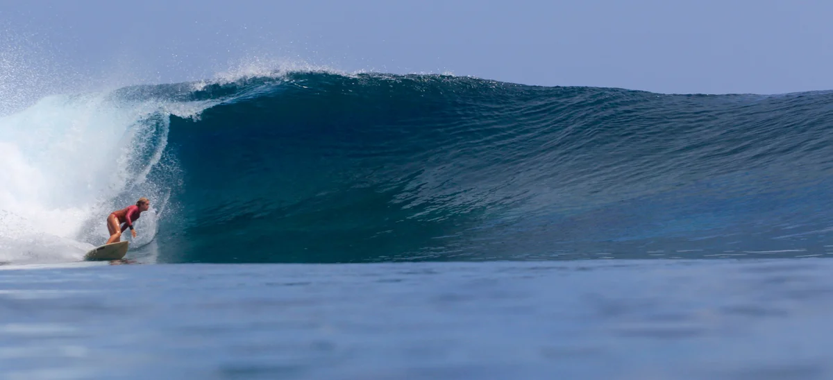 Ainsley Ocean sizing one up.