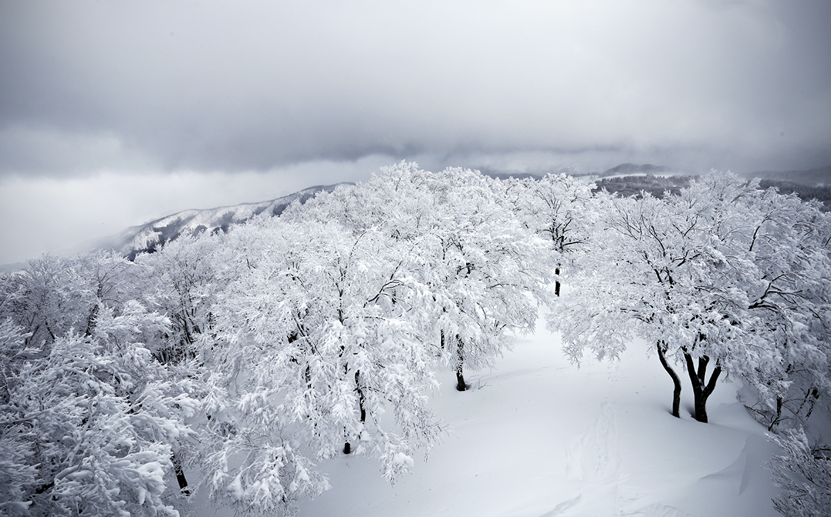 Nozawa Onsen. Credit: Nozawa-onsen.com