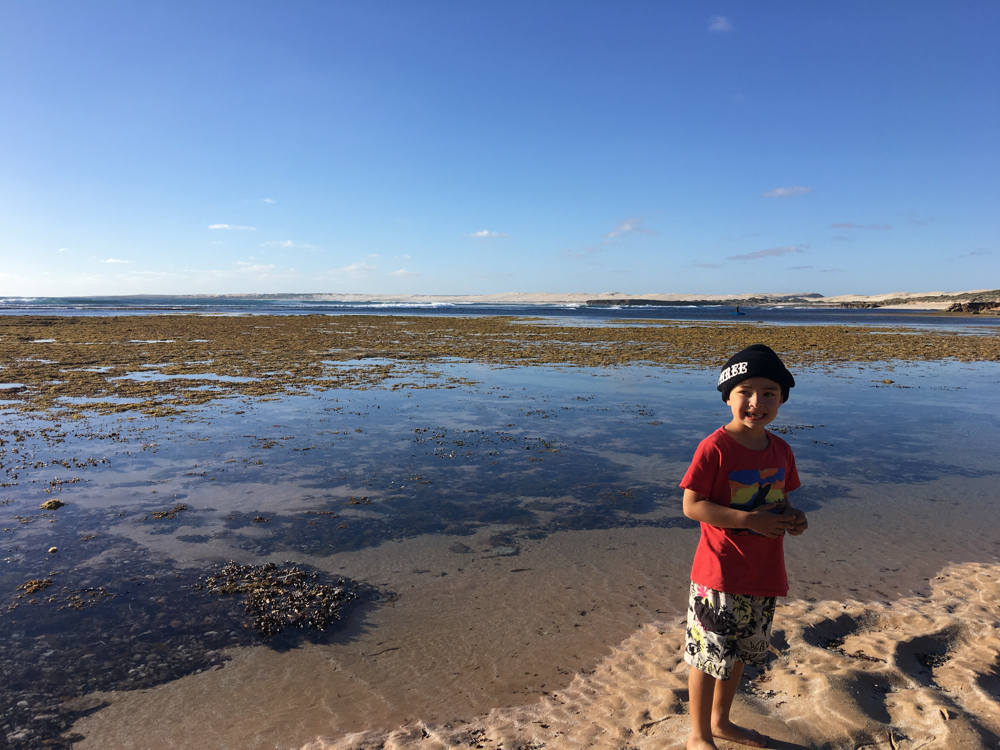 Ryder scoping the pools at low tide.