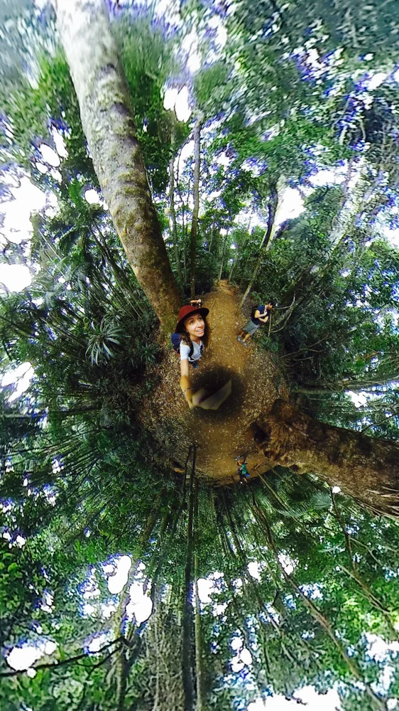 Experimenting with 360 Insta Nano to capture the feeling of being inside the 'womb' of Mother Nature.