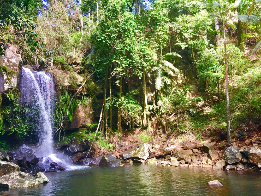 Curtis Falls.