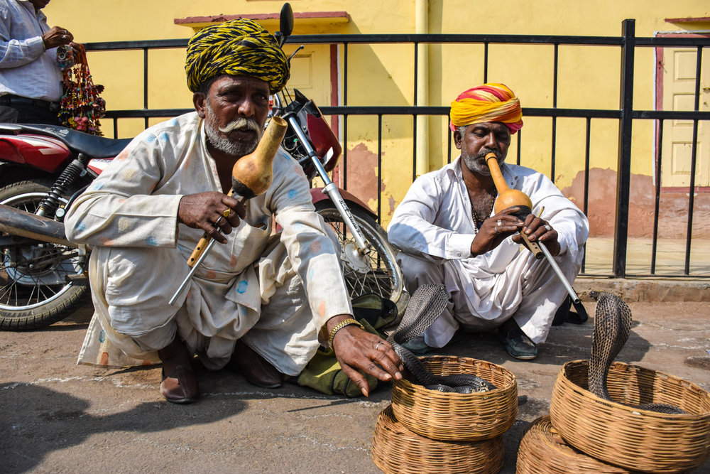 Snake charmers in Jaipur