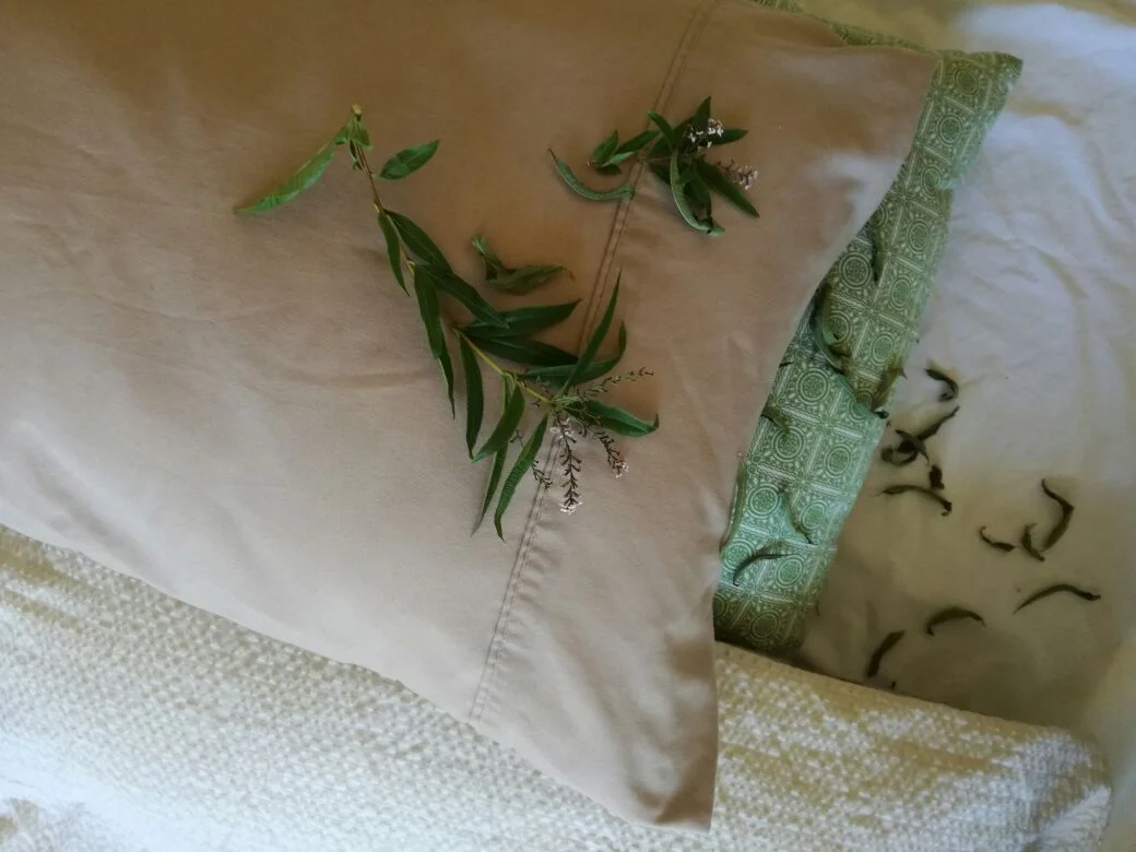 Dried verbena leaves in your pillow helps alleviate trouble sleeping