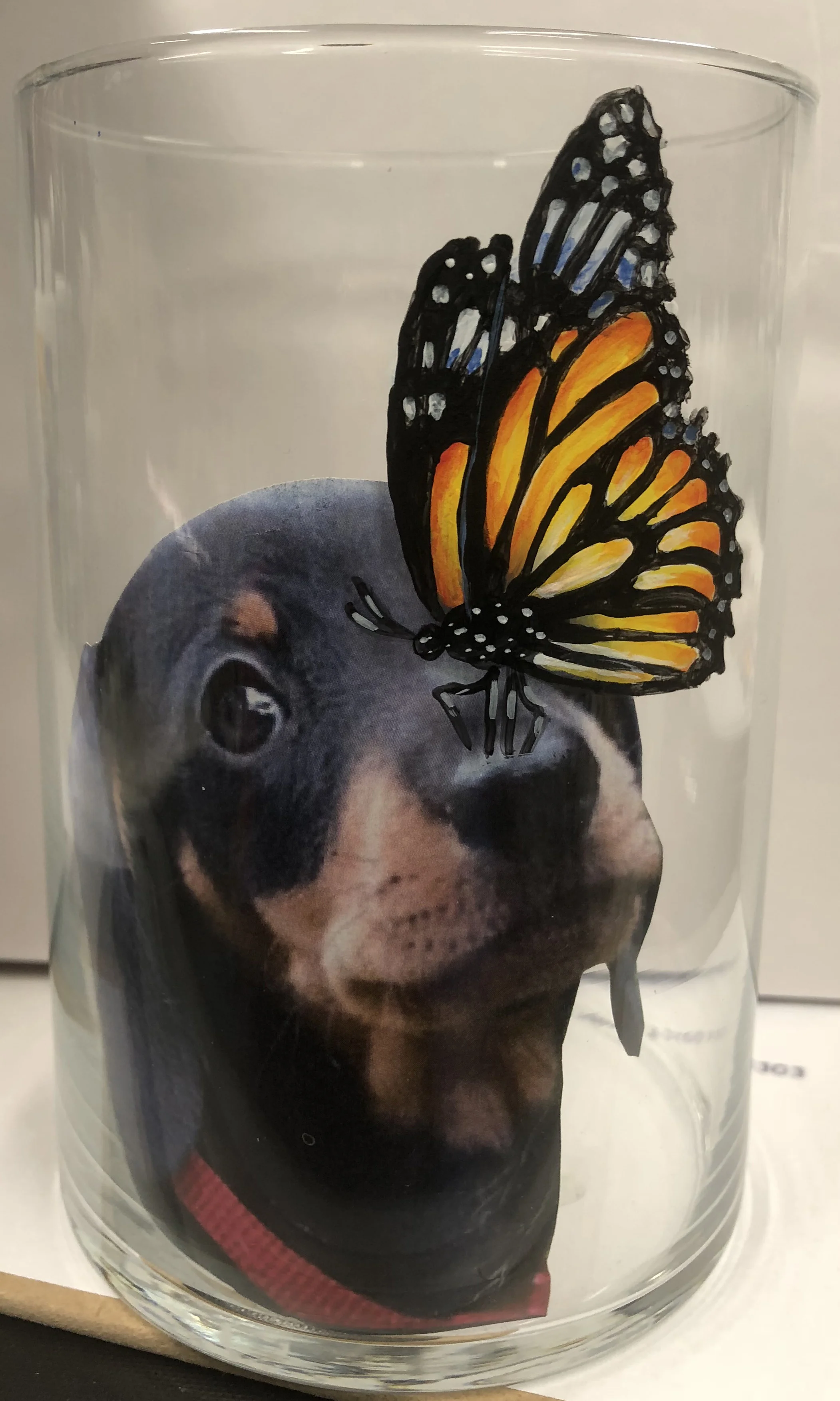 DognButterfly.jpg
