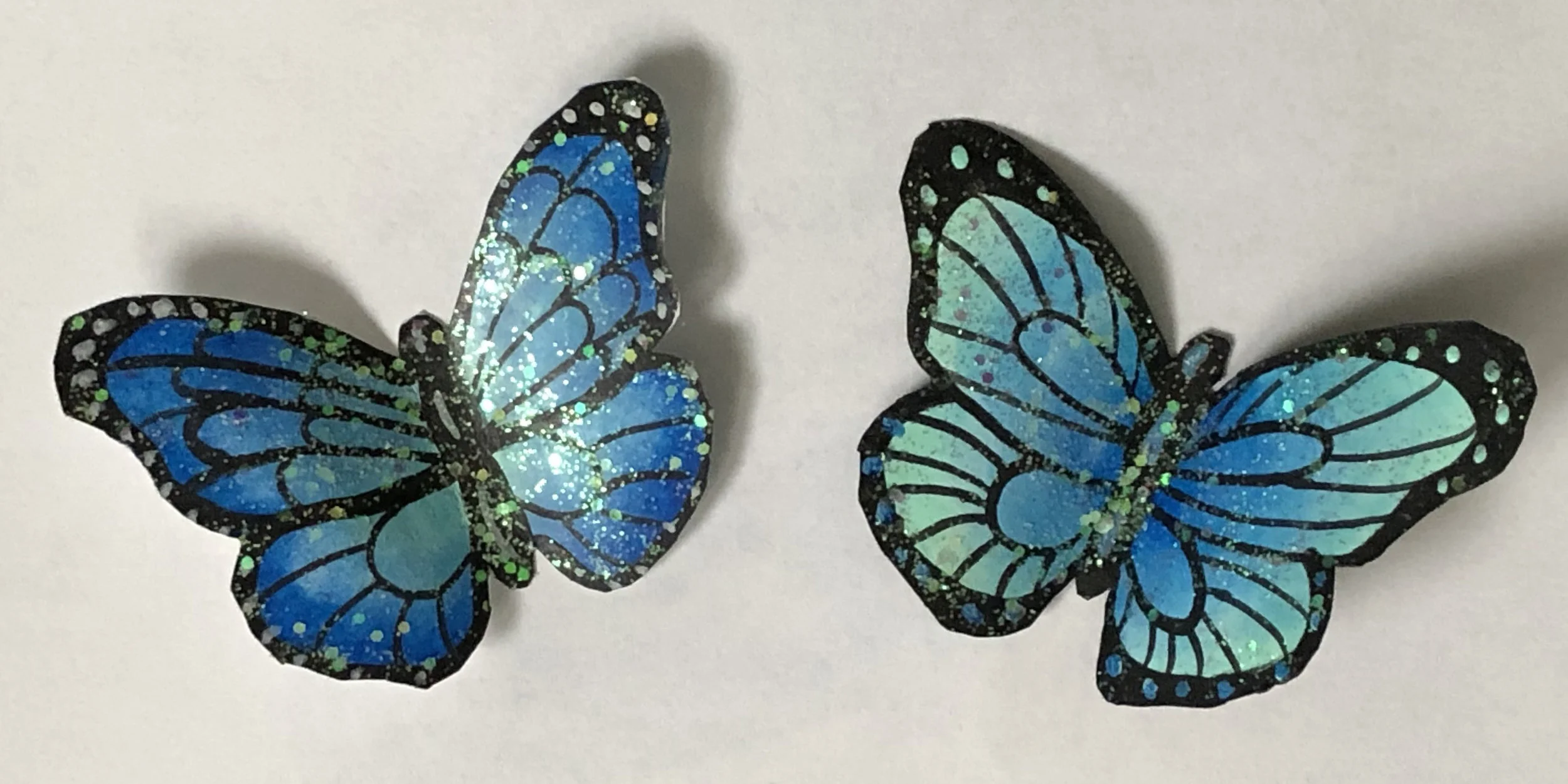 Butterflycrop.jpg