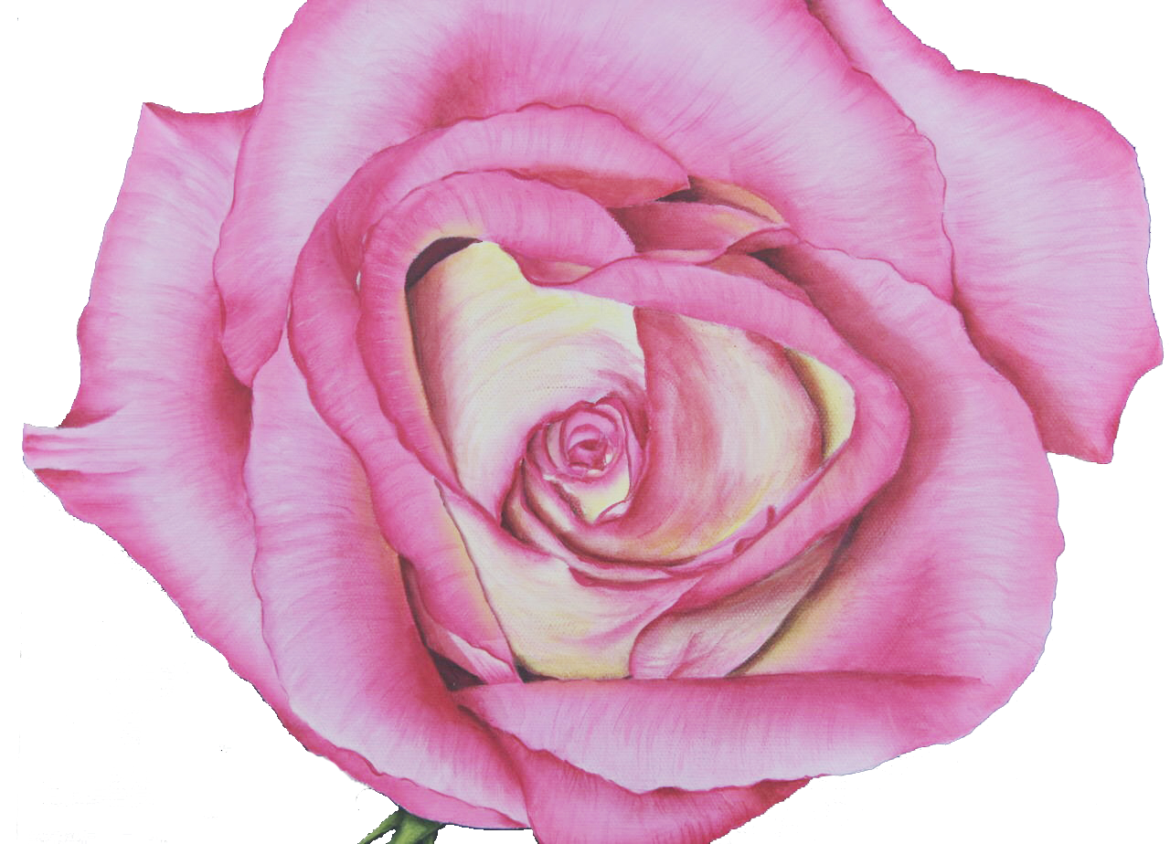 RoseBestClear.png