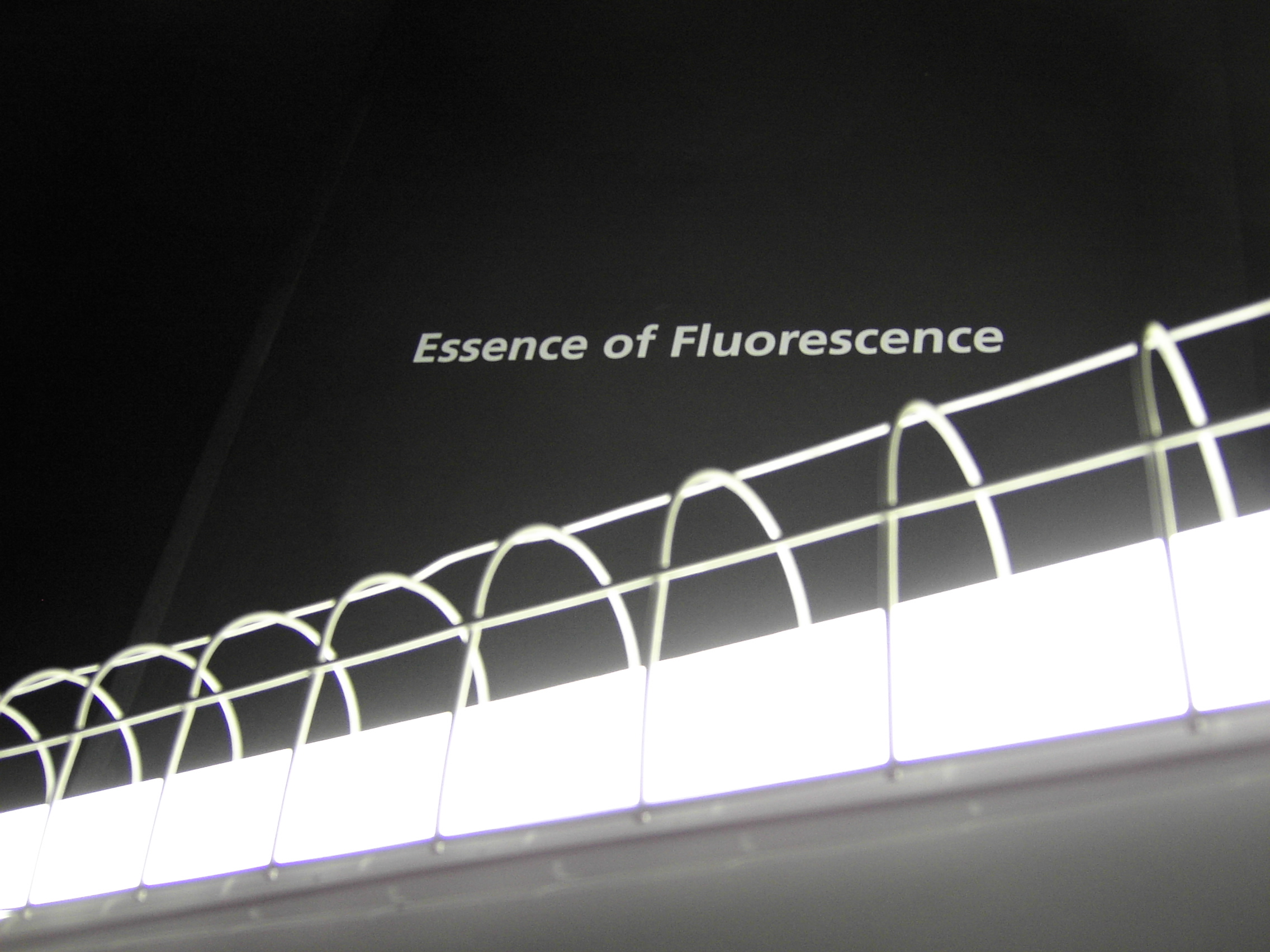 The Essence of Fluorescence at The Hayward Gallery, 2006.