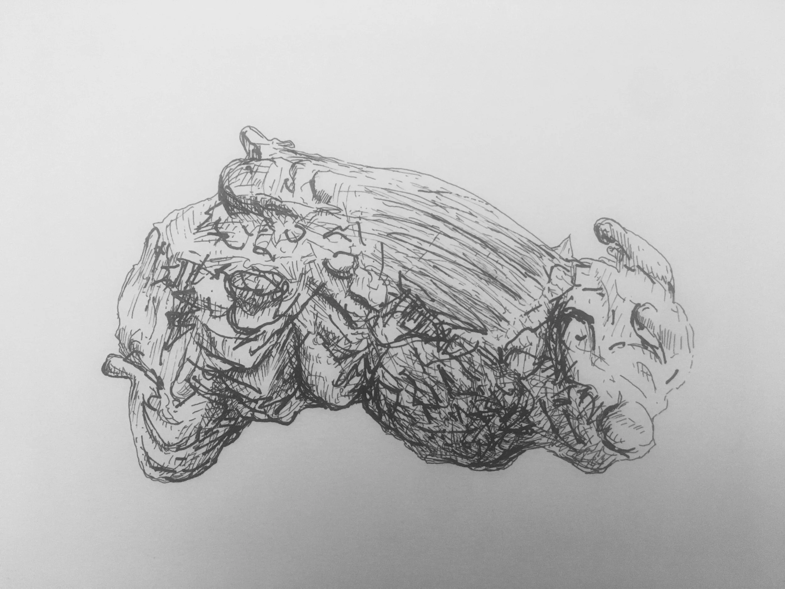 FullSizeRender-1.jpg