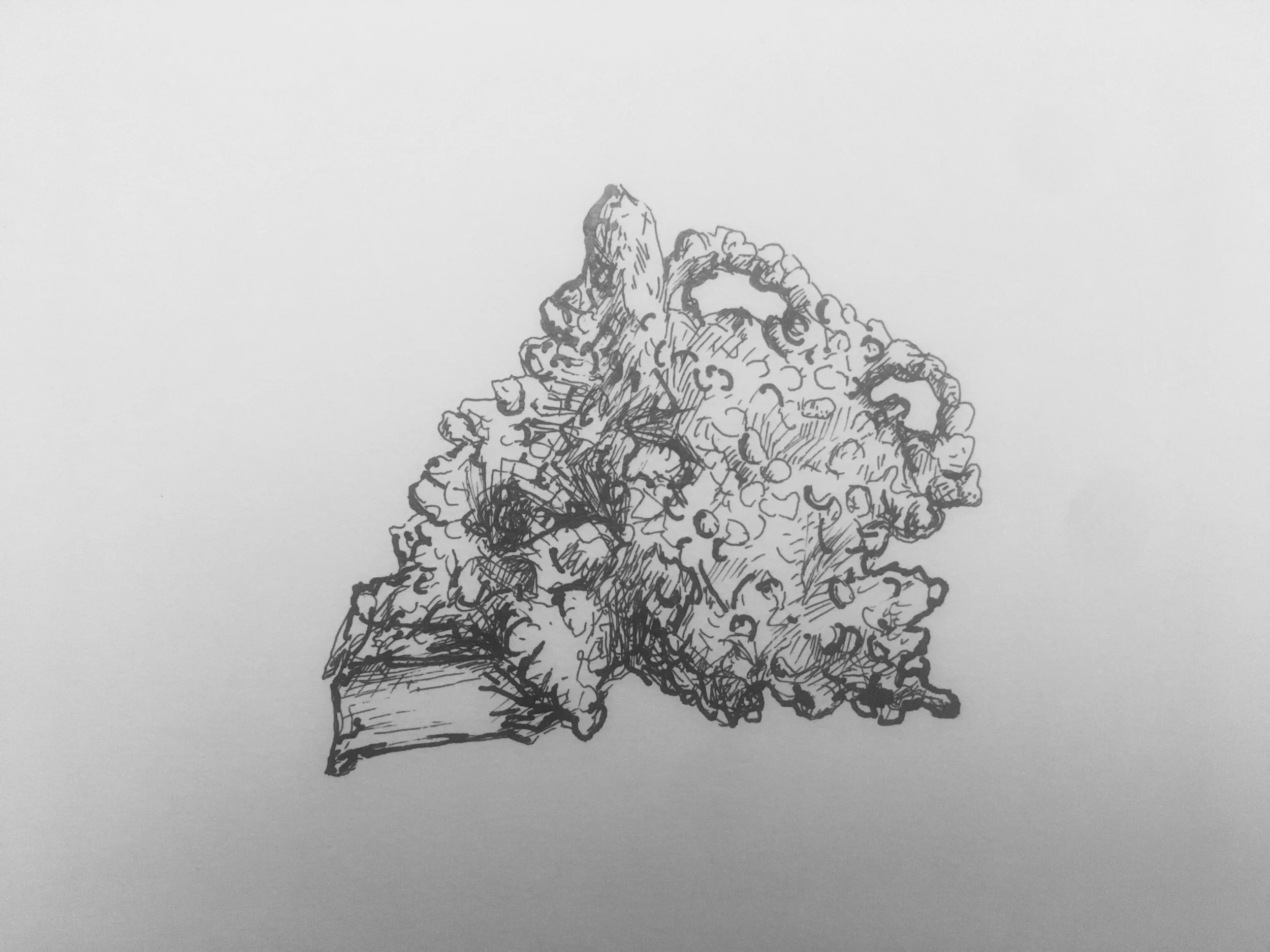 FullSizeRender.jpg