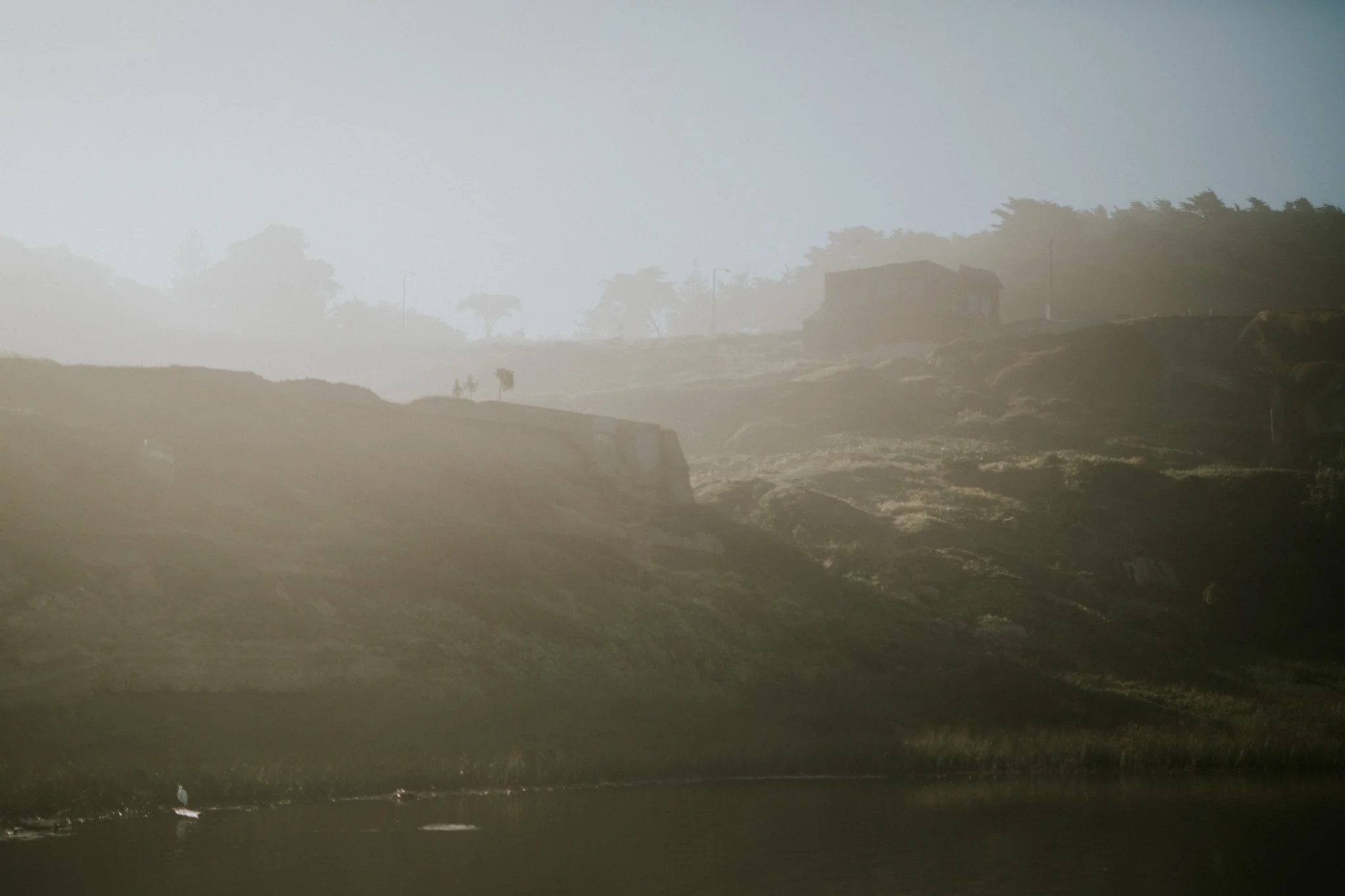 Silvanus + Heather-206.jpg