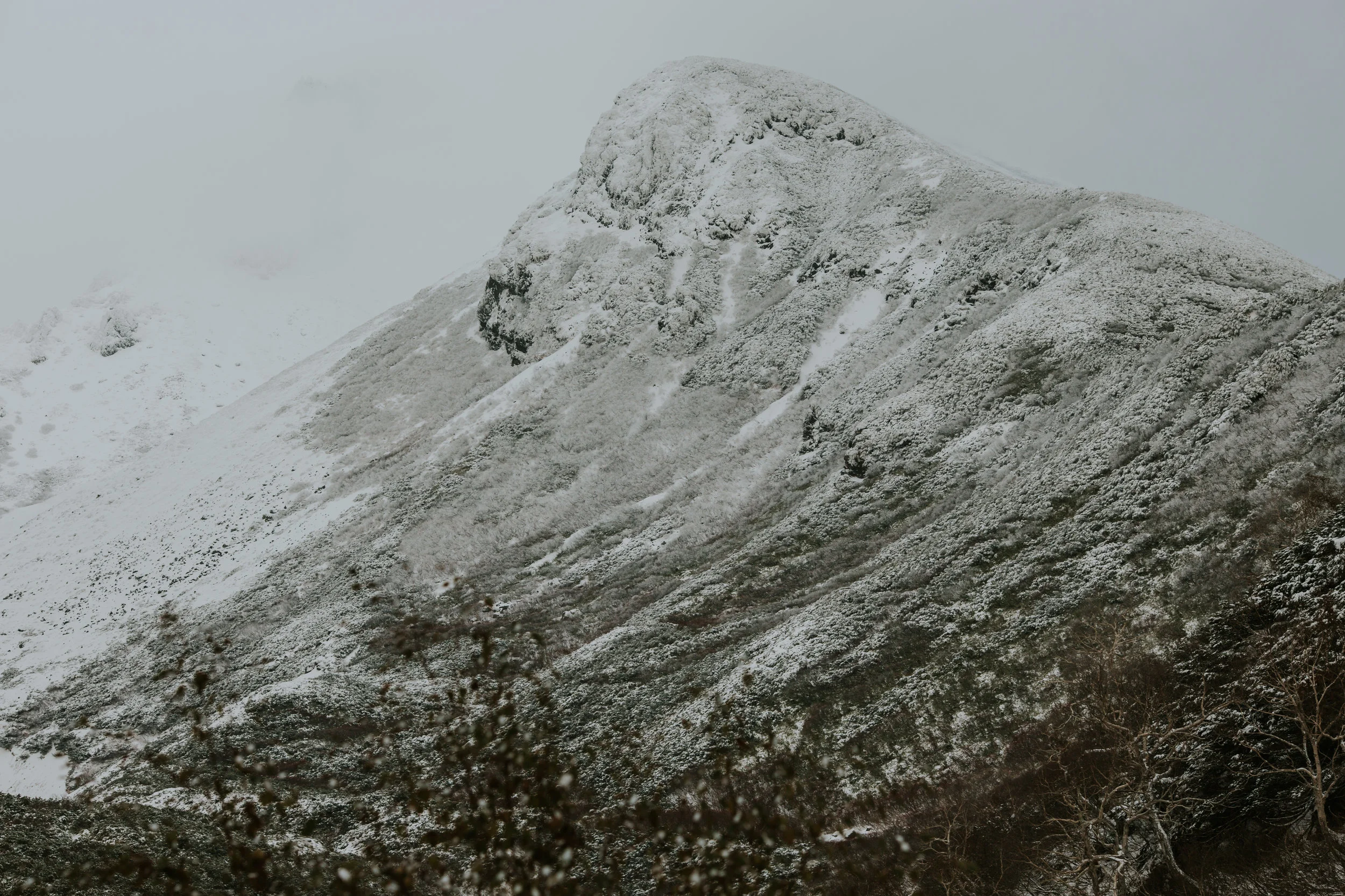 Tim + Clara (Hokkaido)-191.jpg