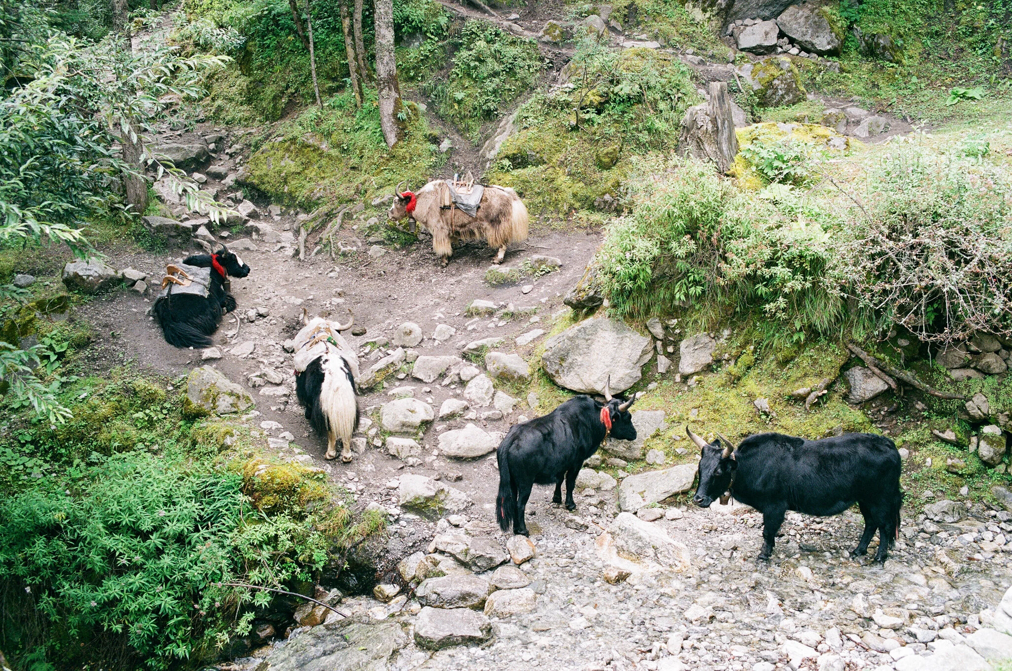 35_000007170013.jpg