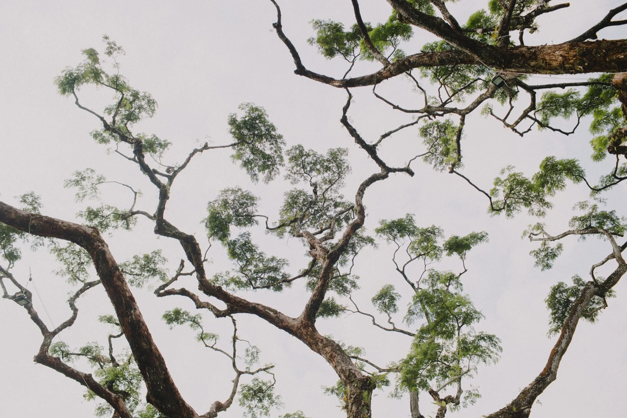 01_Liam & Rachel-2.jpg