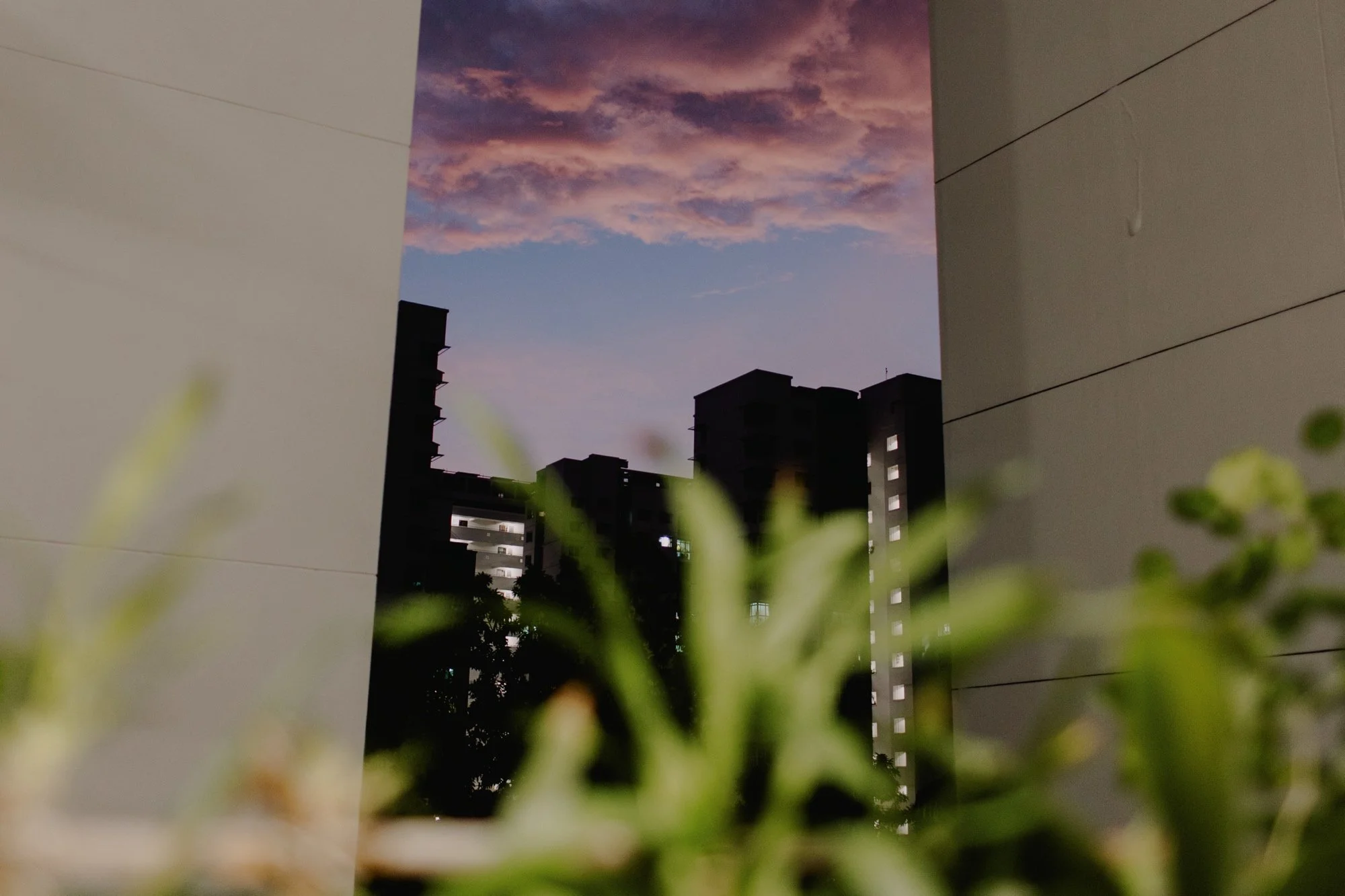 002_Nat & Gloria-4.jpg