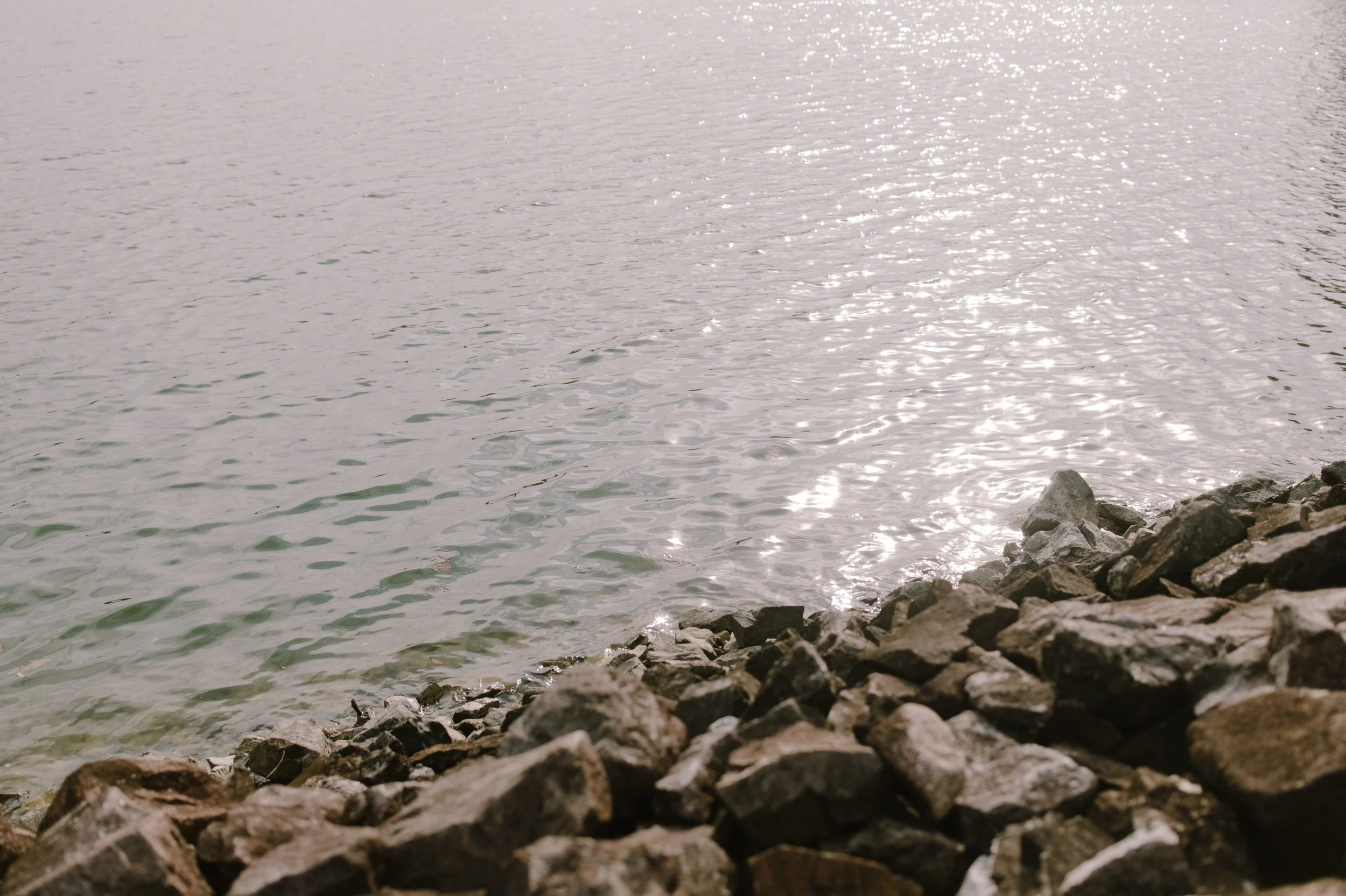 01_Janyne + Michael-92.jpg