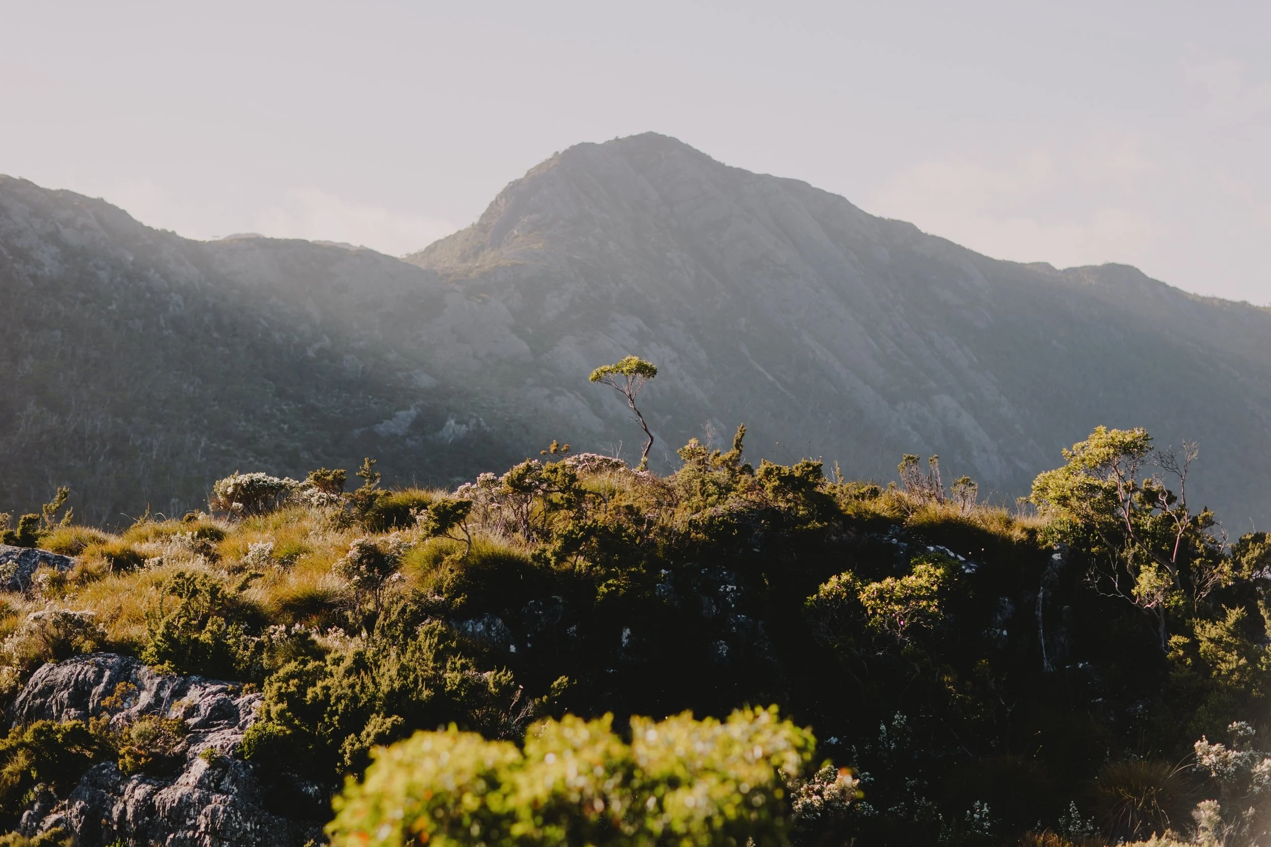 16_Russell + Geraldine-493.jpg