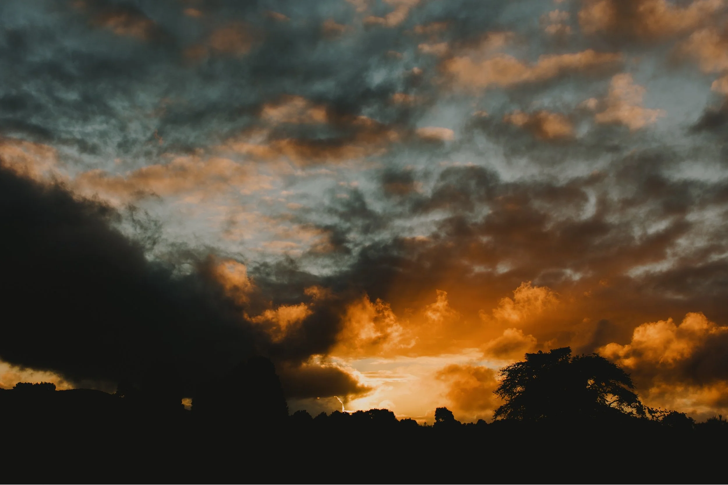 47_Russell + Geraldine-326.jpg