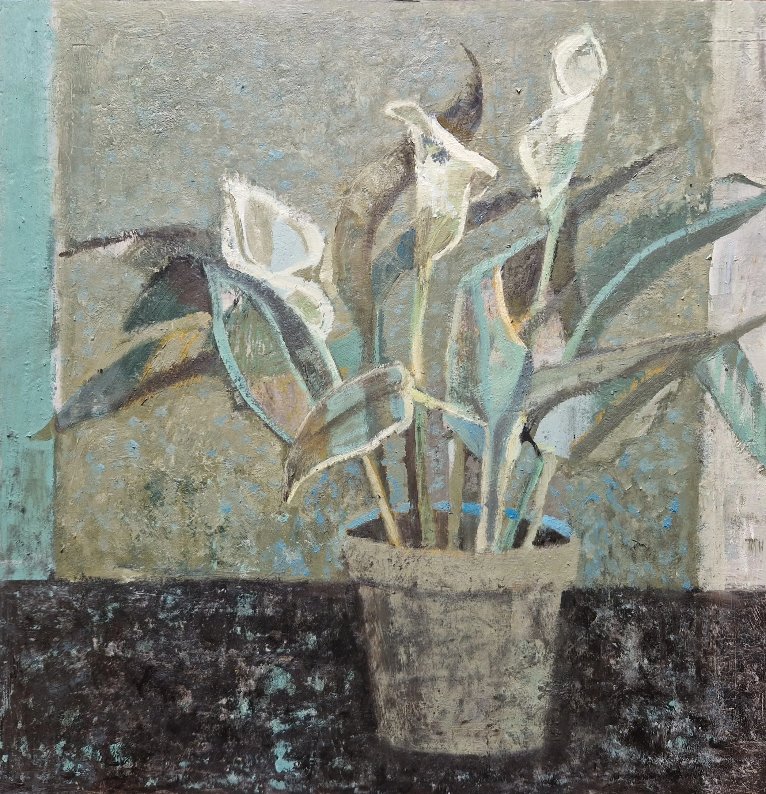 Calla lily