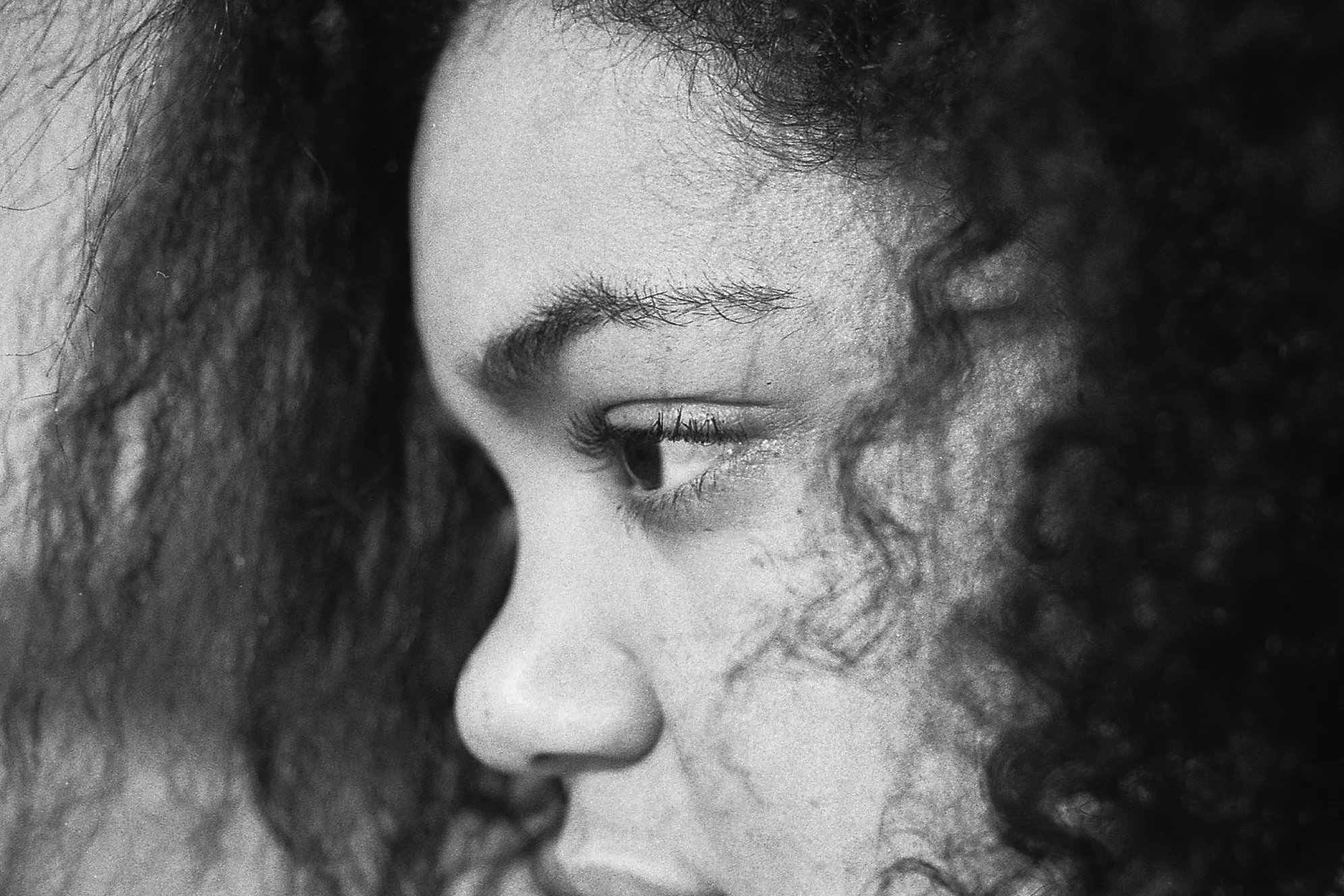 Assignment: Final Project Gelatin Silver Print Fall 2017
