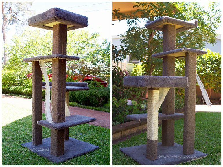 How to Build a Cat Tree For Under $100 