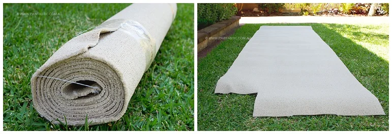 How to Build a Cat Tree For Under $100 | Sydney Pet ...