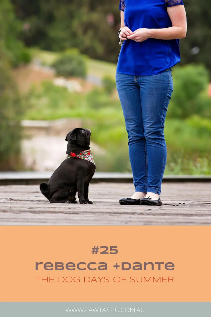 Black pug, Dante stares out over the water at Sydney Park while his owner gazes lovingly at him during their photoshoot with Sydney based pet photographer, Pawtastic Photography.