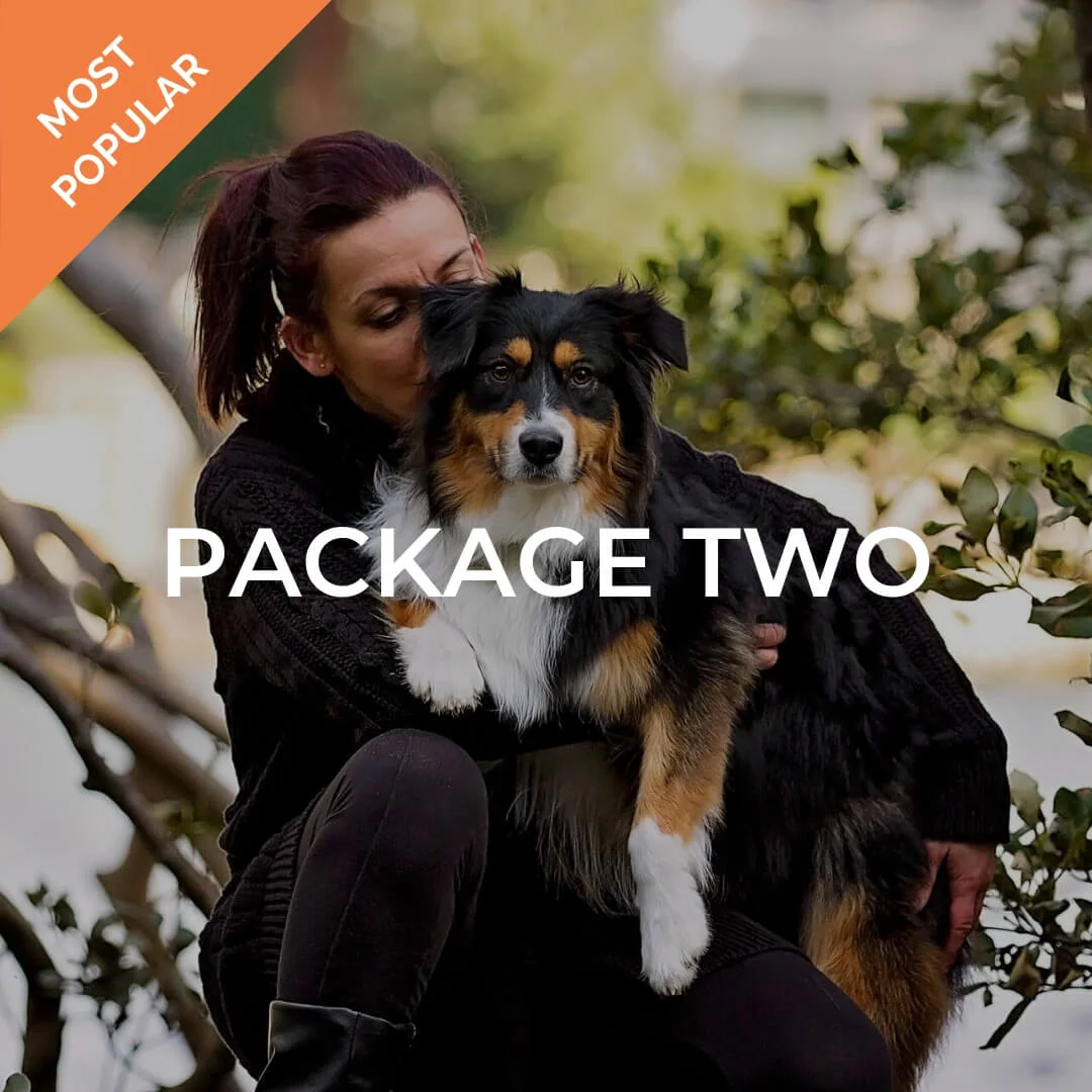 PACKAGE 02.jpg