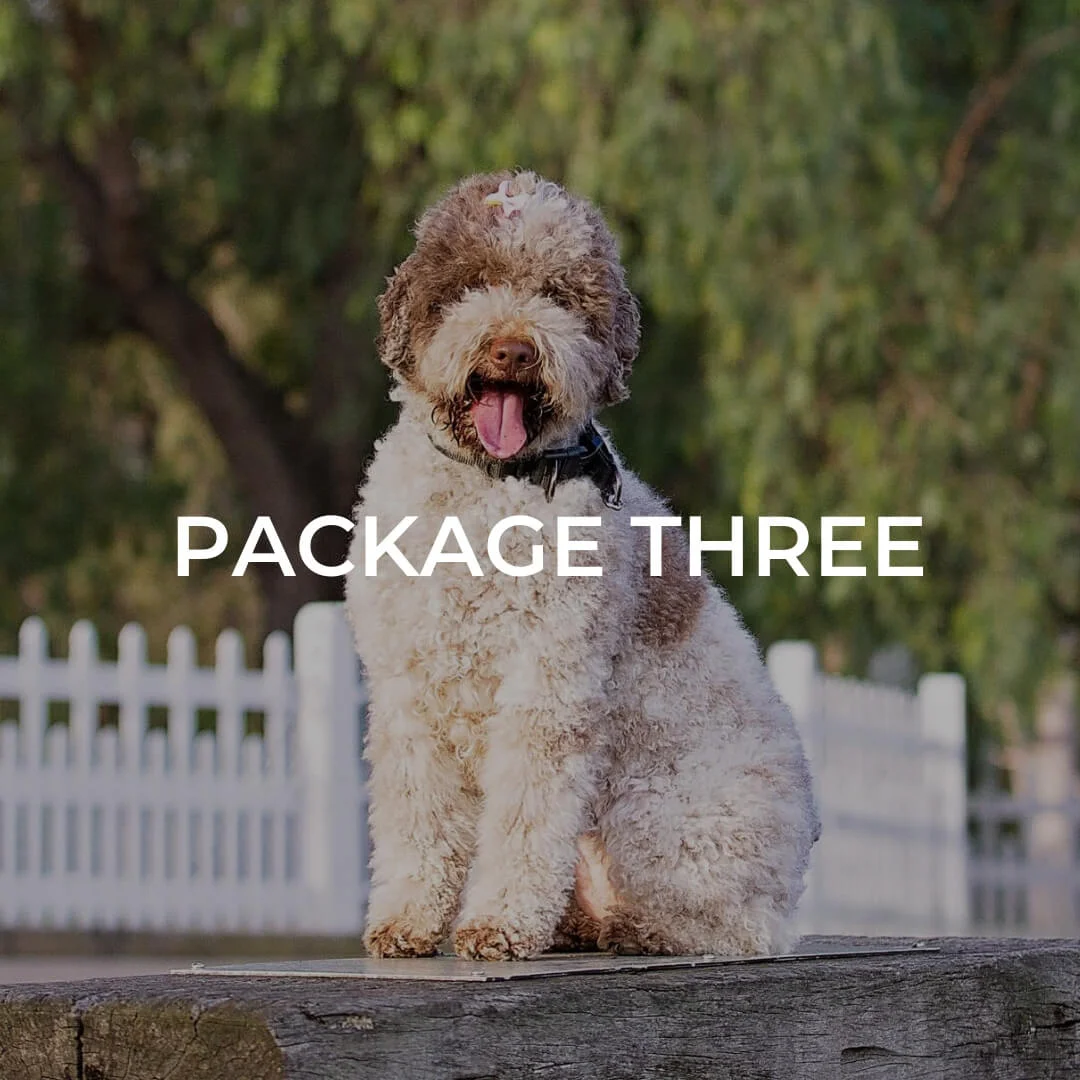 PACKAGE 03.jpg