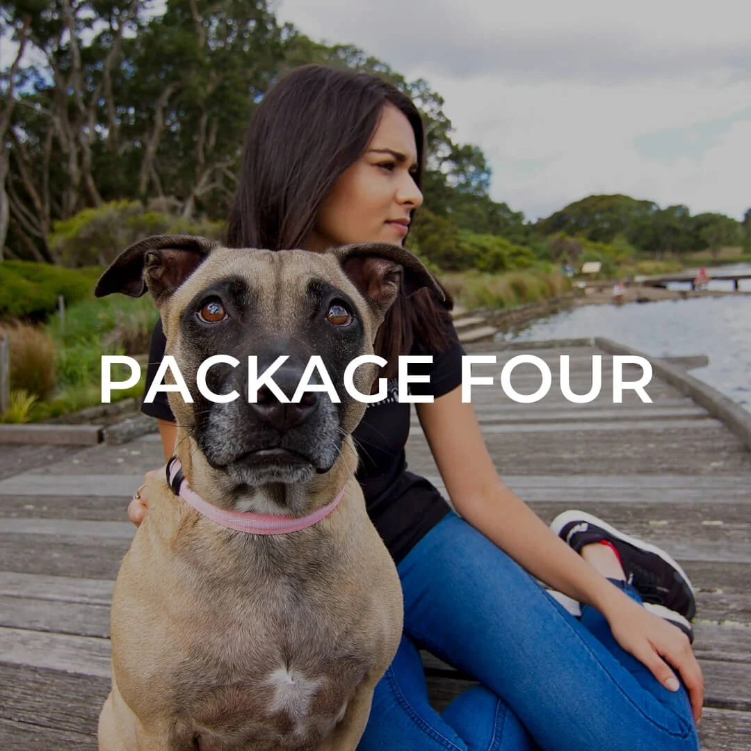 Digital-package-number-four.jpg