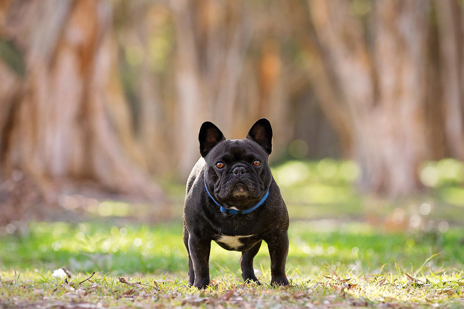 Choose-location-Centennial-Parklands.jpg