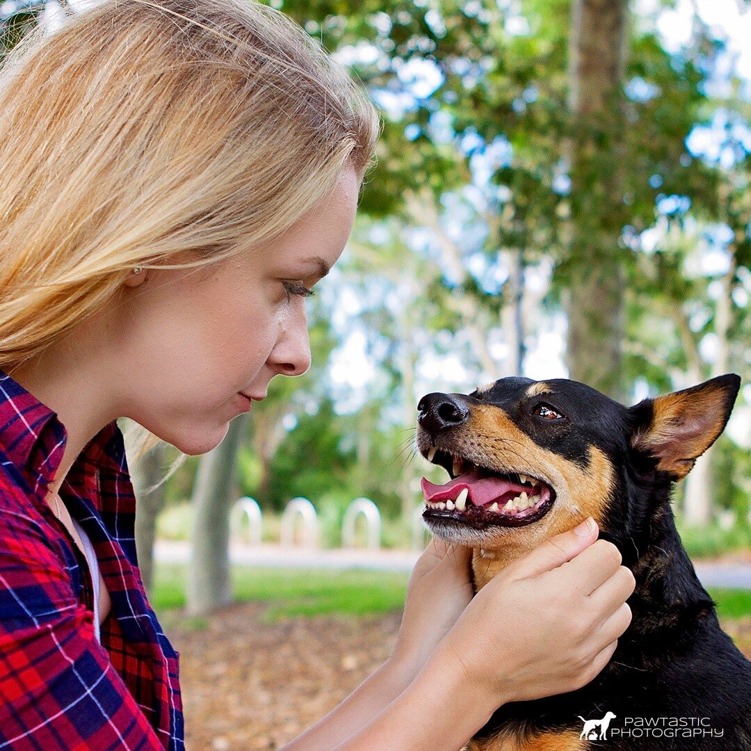 Sometimes you just need to have a chat with someone who'll listen 🐶