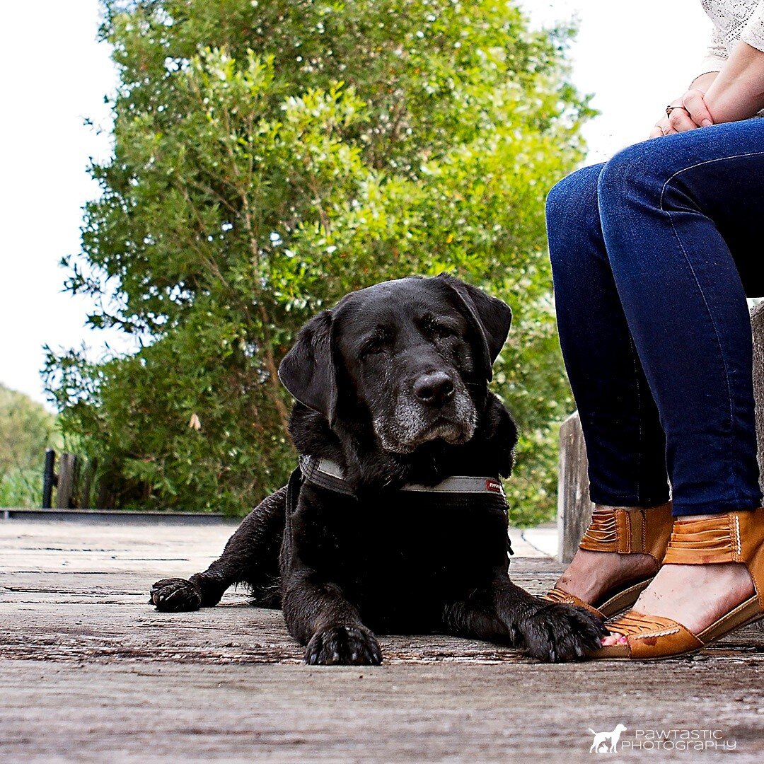 Does anyone else get that little 'awwww' moment when they see something as sweet as Ralph with his paw on his mum's foot? ⁠
⁠
I think it's completely adorable 😍😍⁠
⁠
Drop an emoji in the comments if you agree...